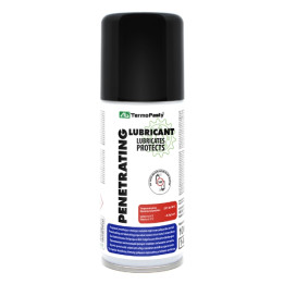 PENETRATING LUBRICANT PENETRATING/100 SPRAY 100 ml AG TERMOPASTY