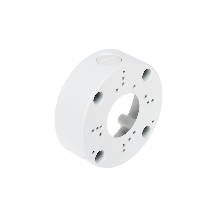 BD-AP12W Camera Mount