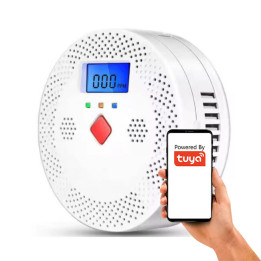 Carbon monoxide CO detector sensor 2x AA batteries 70dB alarm WiFi TUYA