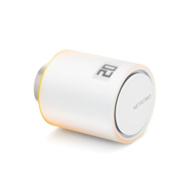 Netatmo NAV-EN termostata galva