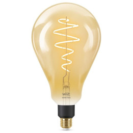 WiZ,PS160 Globe,6W,2000-5000,PS160,E27,1kpl valonlähde