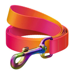 WAUDOG gradient nailonist koerarihm, 122 cm pikk, oranž