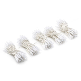 Twinkly Pro PLC kapsulė, 5 lašai x 50 pikselių užuolaida 250 LED AWW, PVC permatomas laidas, IP65
