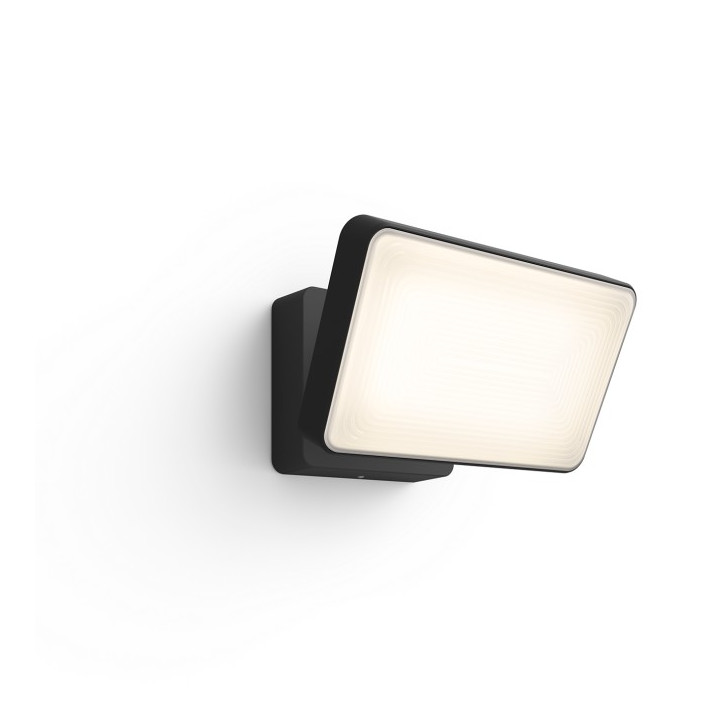 Philips Hue Discover RGBW floodlight