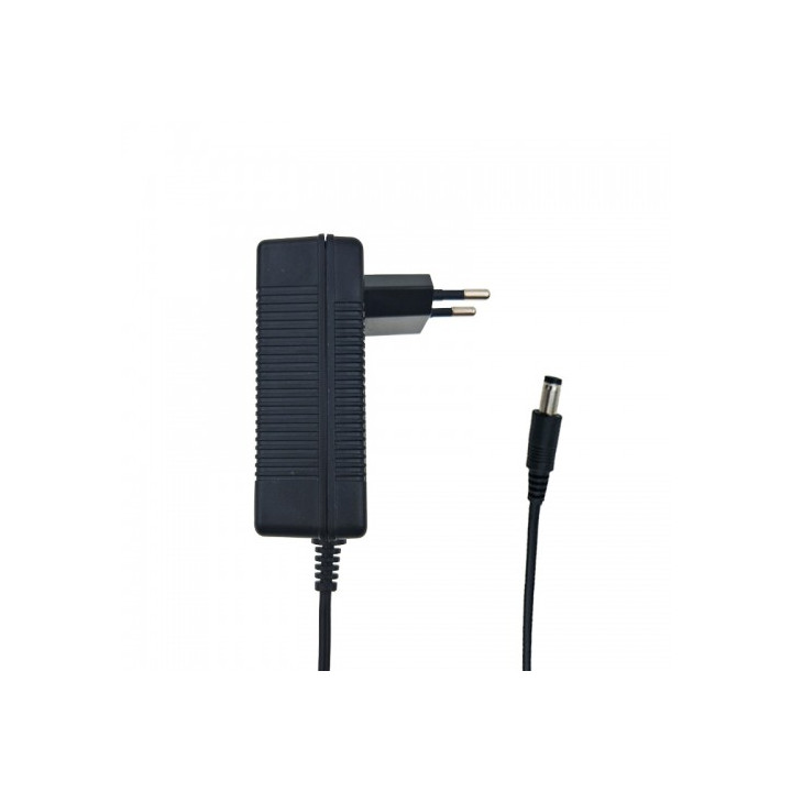 Fuyuang/Enerpower 6S 25.2V 2A 40W laturi sähköpyörille (Ebike) DC-pistoke