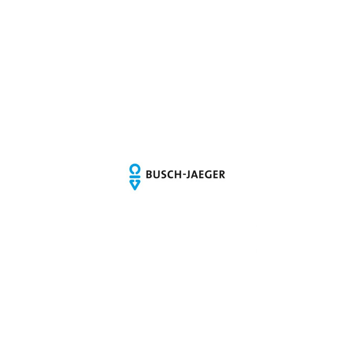 Busch-Jaeger 2173 Original-Ersatzsicherung T 6,3/250