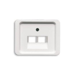 Busch-Jaeger 1803-02-24 C-SCH. A-NEA AAE 2-F.