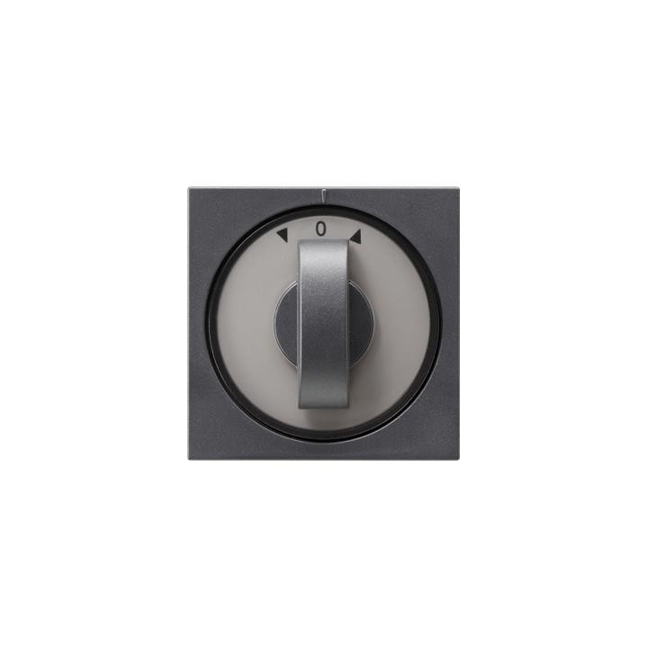 GIRA 066628 Abdeckung Knebel Zeitschalter + Jalousie System 55 Anthrazit