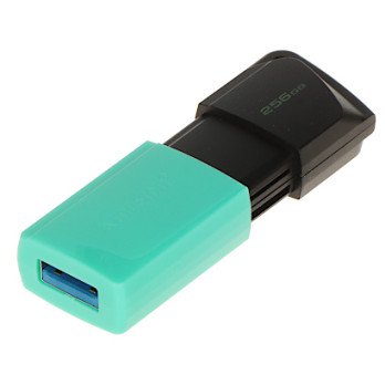 - FD-256/DTXM-KINGSTON 256 USB 3.2 Gen 1